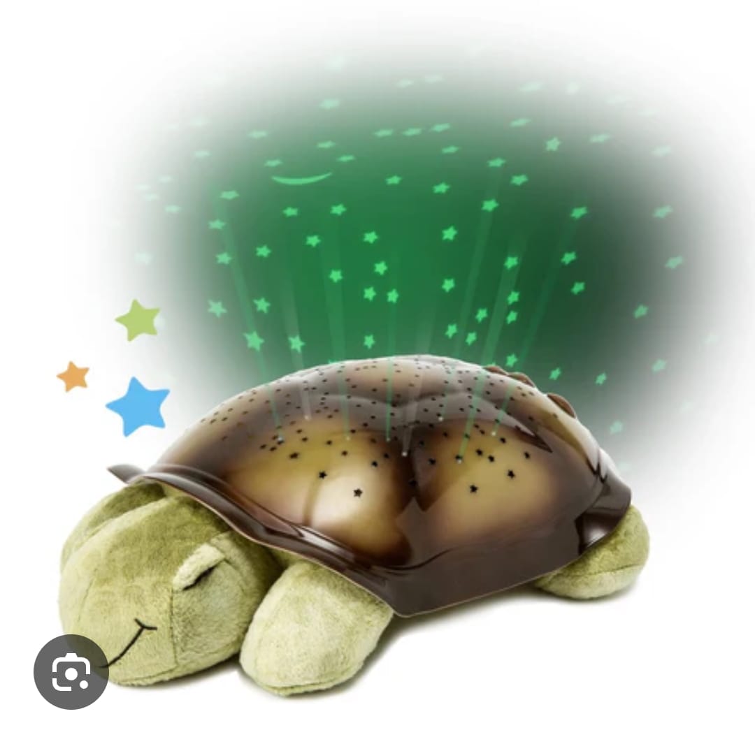 Twilight Turtle, American used preloved toy