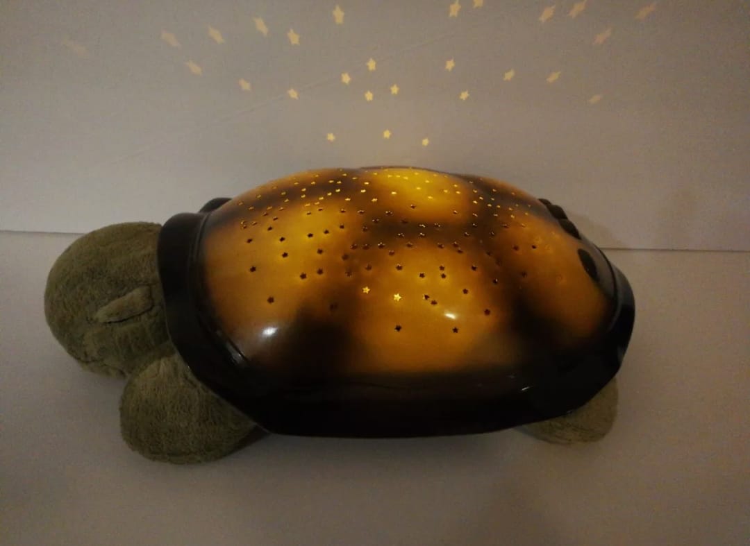 Twilight Turtle, American used preloved toy