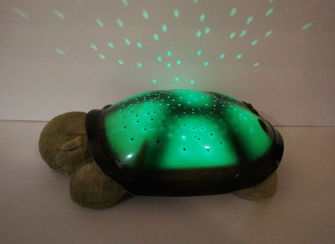 Twilight Turtle, American used preloved toy