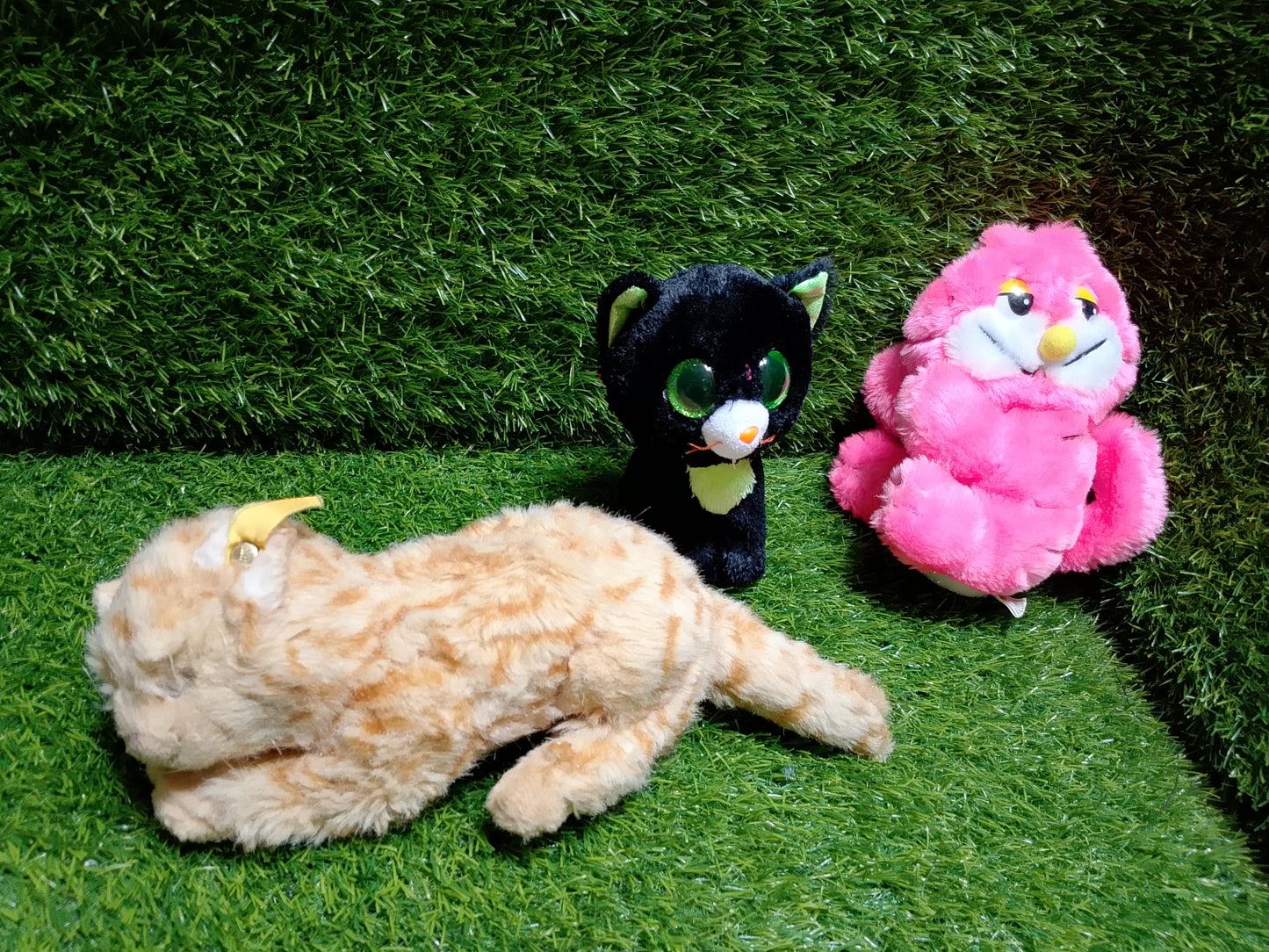 Cute Cats, set of 3, Preloved stuffed toys