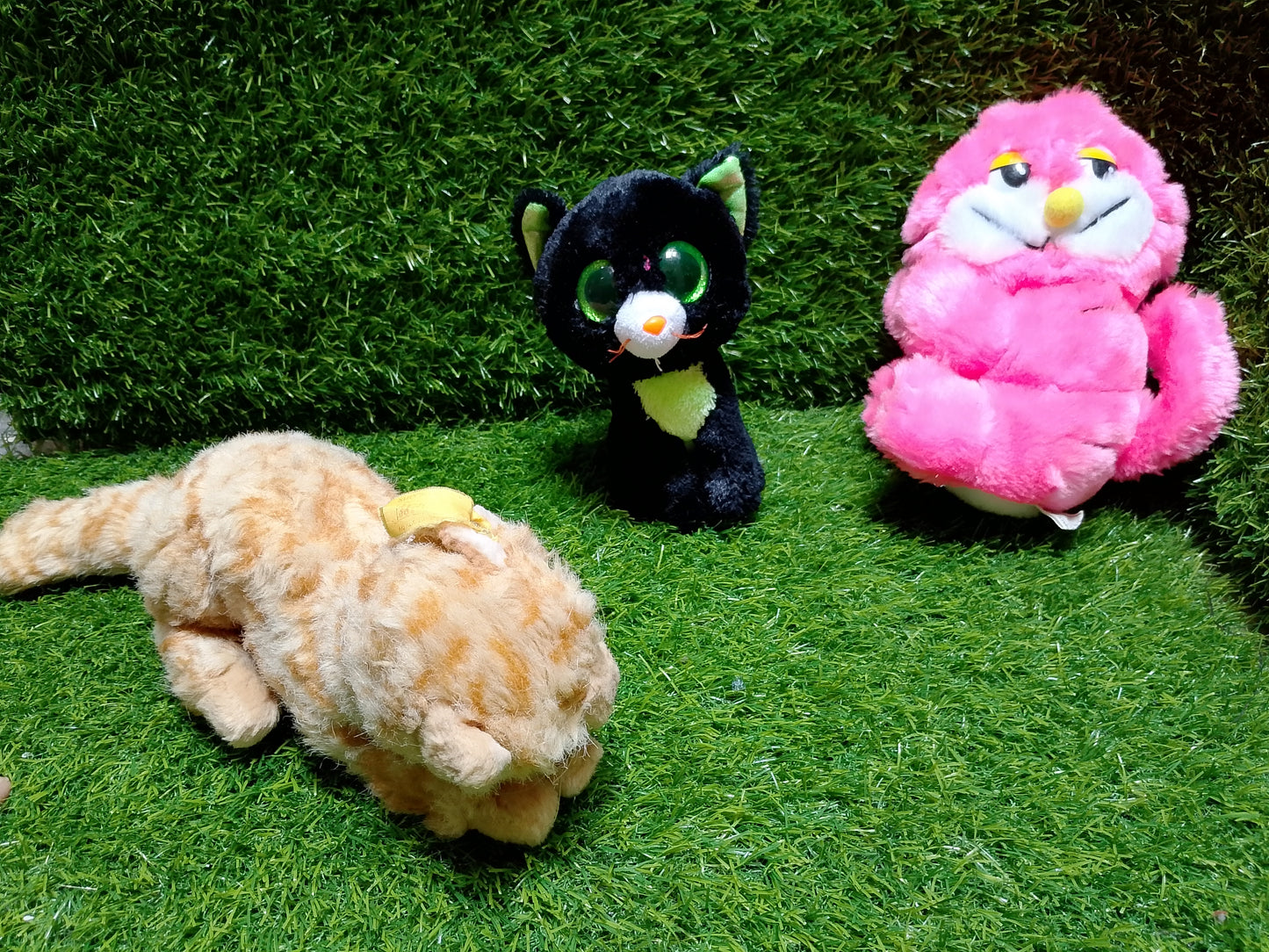 Cute Cats, set of 3, Preloved stuffed toys