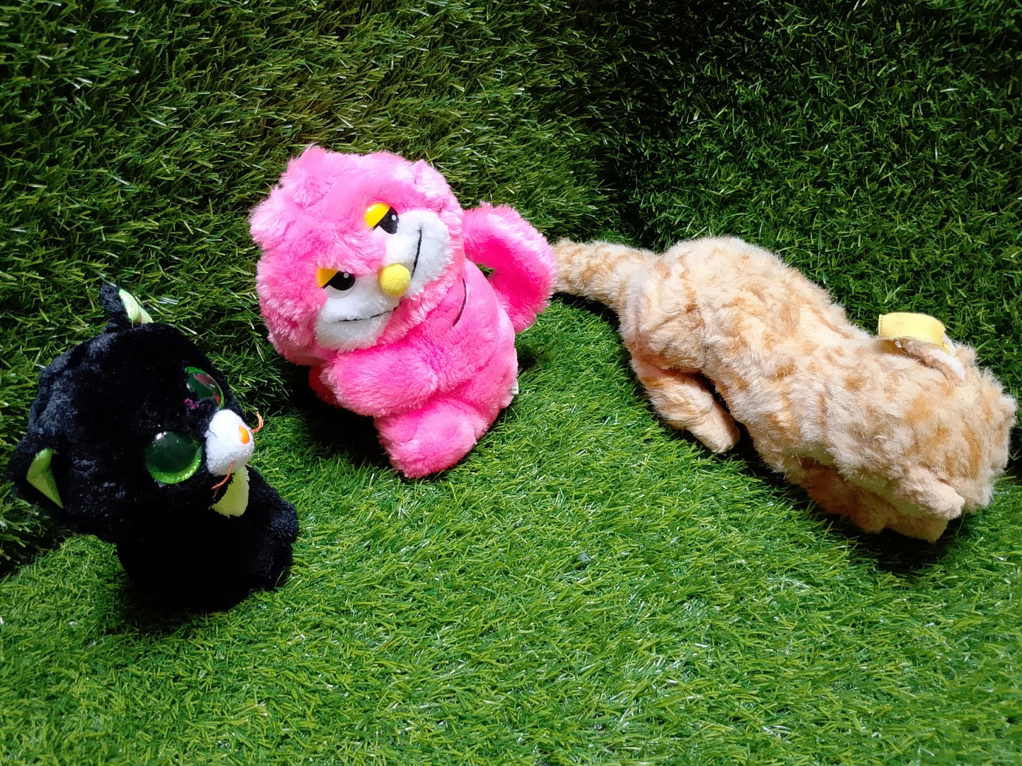 Cute Cats, set of 3, Preloved stuffed toys