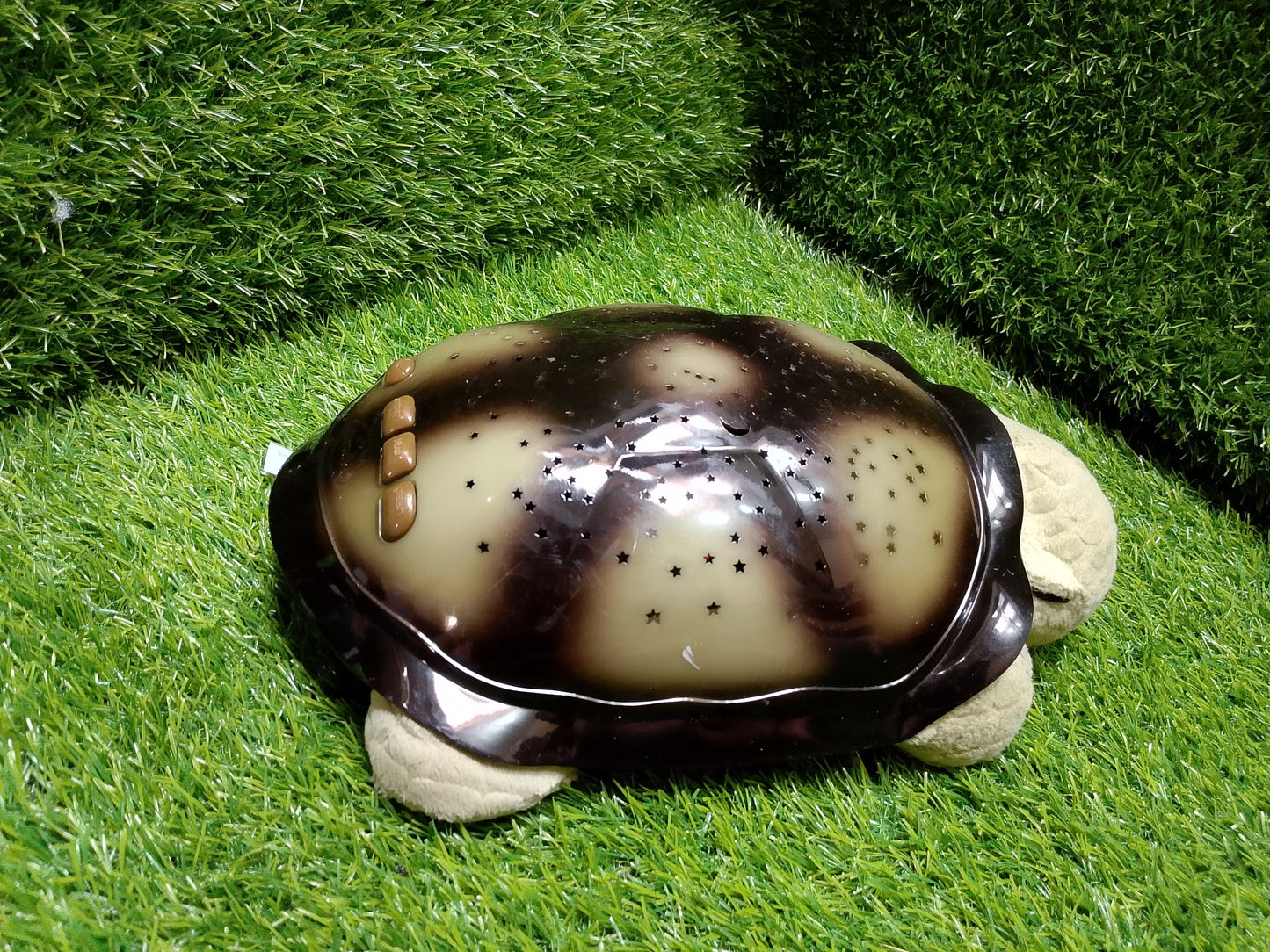 Twilight Turtle, American used preloved toy