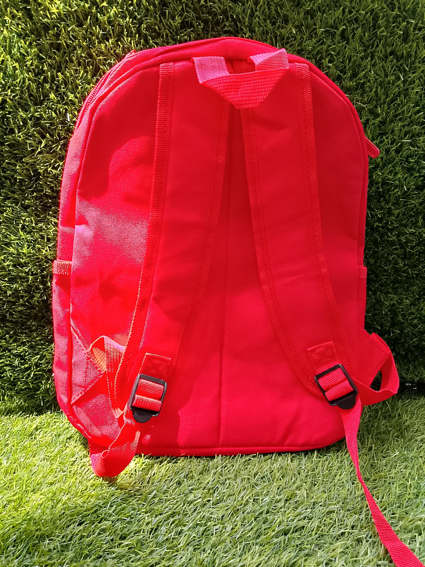 Traverse Kids Bag- Angry Bird, Backpack for Kindergarten