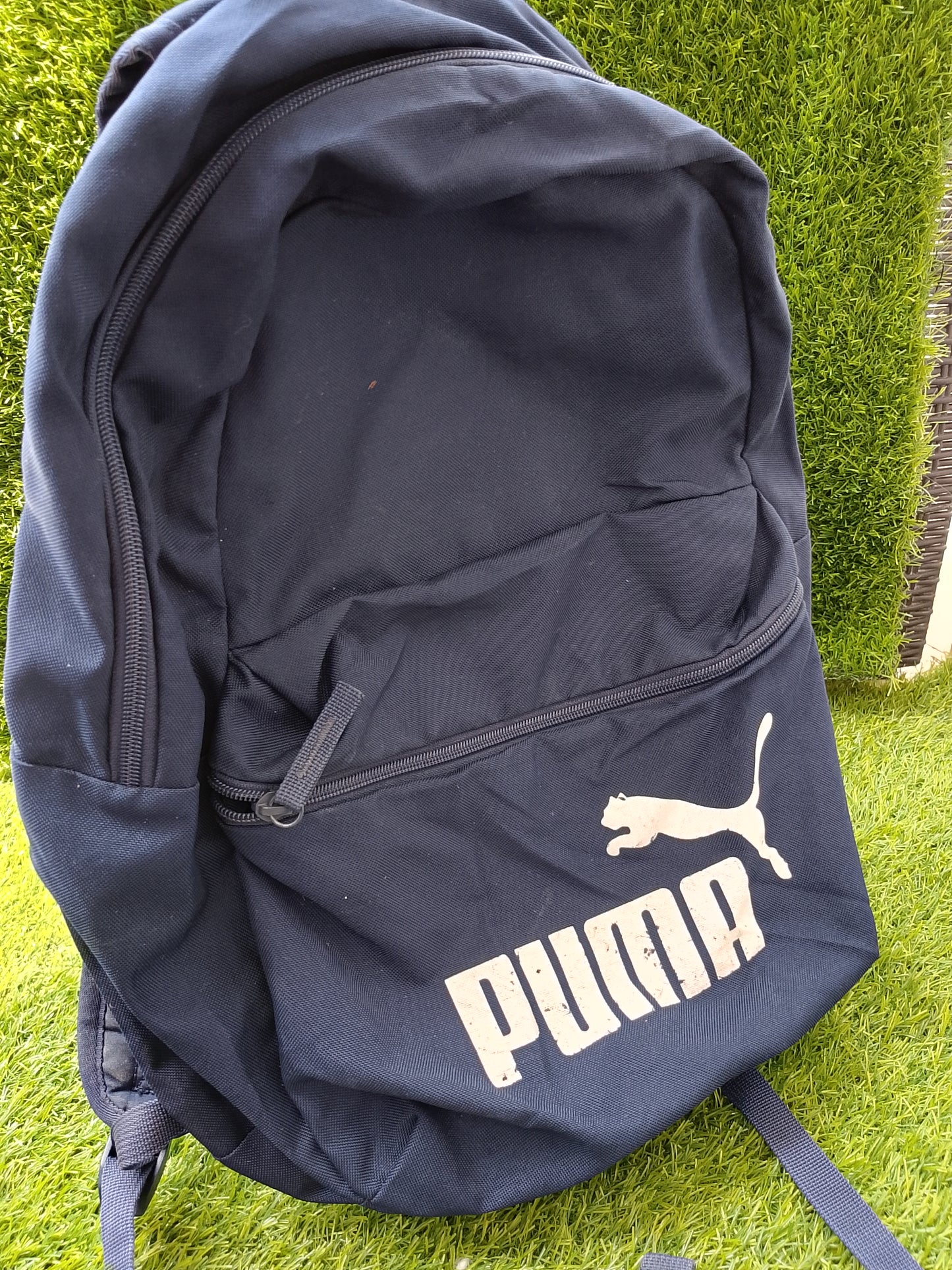 Phase Backpack 22 L Laptop Backpack