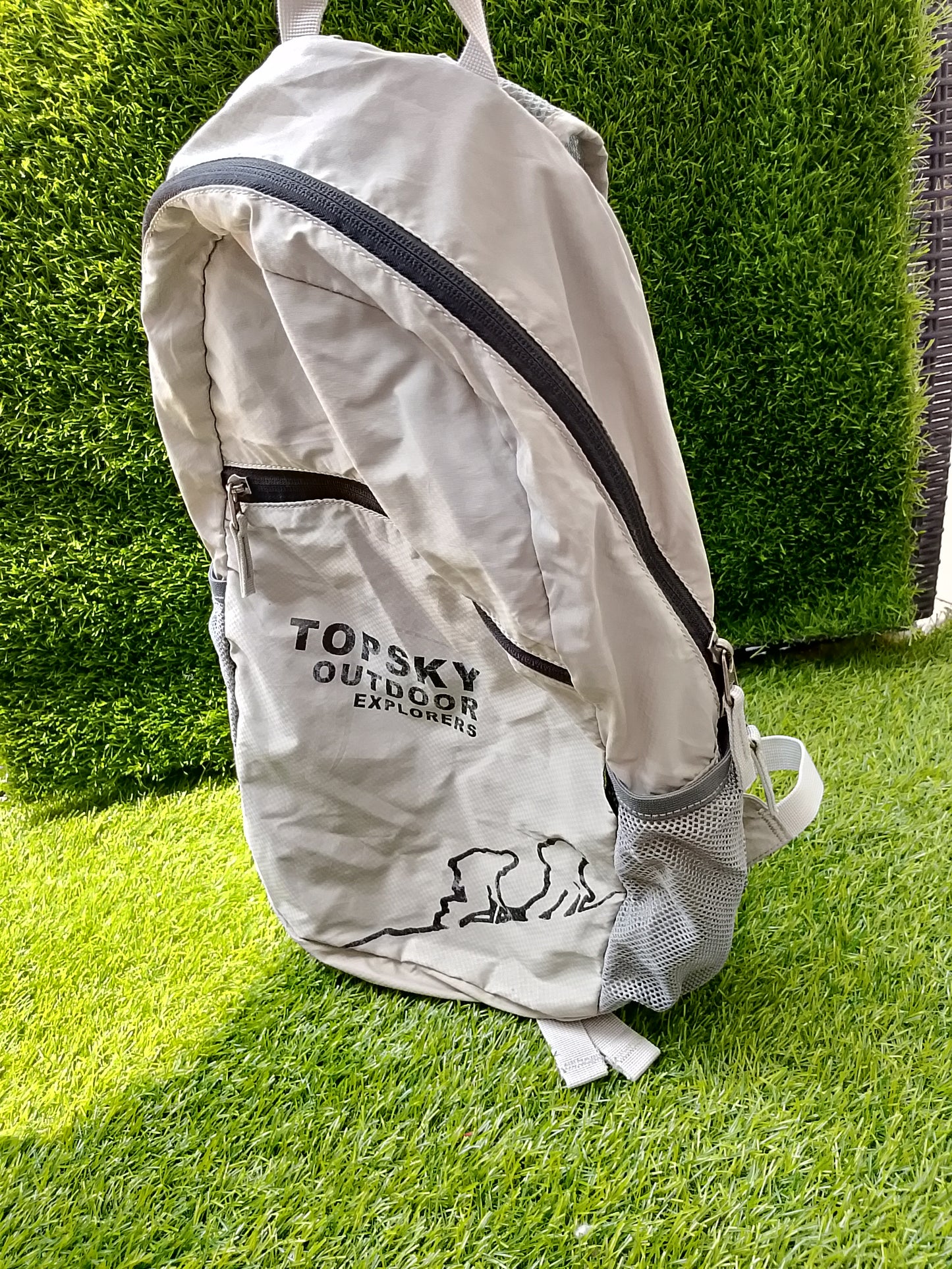 Backpack / School bag for boys