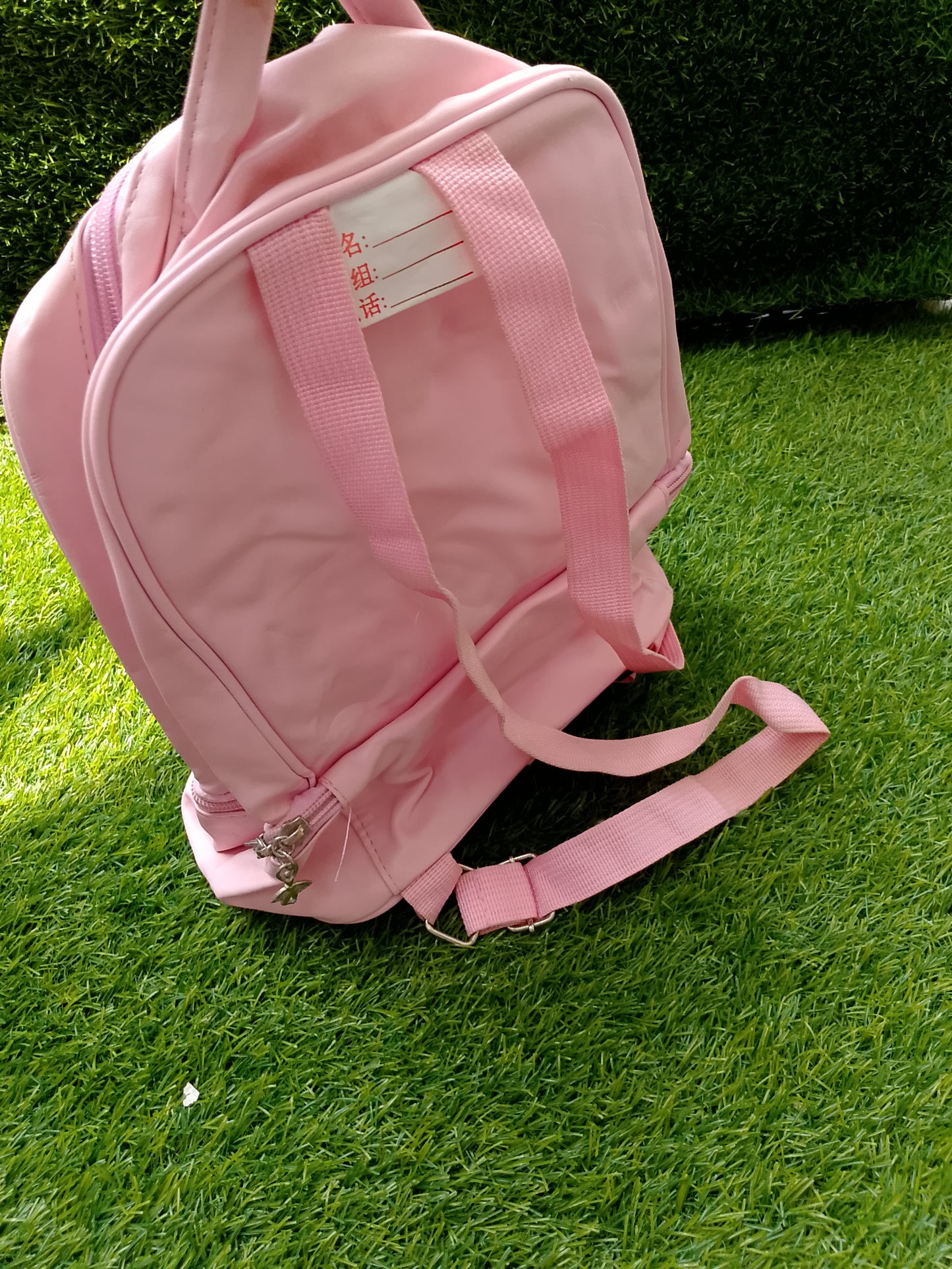 Starlite 190 Pink Backpack Bag
