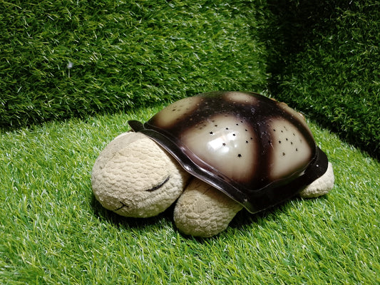 Twilight Turtle, American used preloved toy