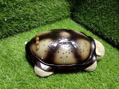 Twilight Turtle, American used preloved toy