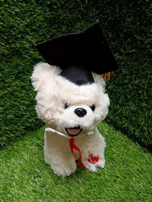 Graduation Teddy Bear Singing and Spinning Plush
