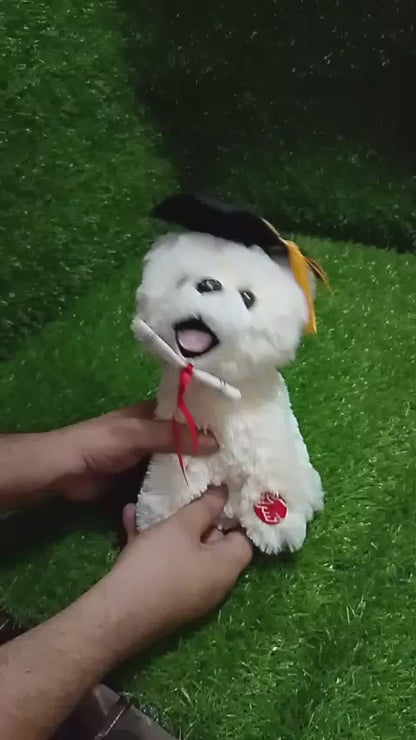 Graduation Teddy Bear Singing and Spinning Plush